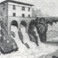MAULE