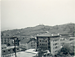 gomistegitik